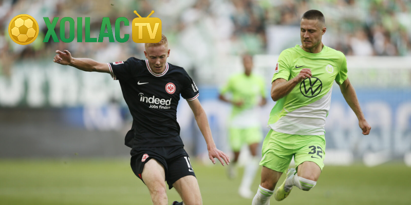 Phong độ gần đây của The Wolves